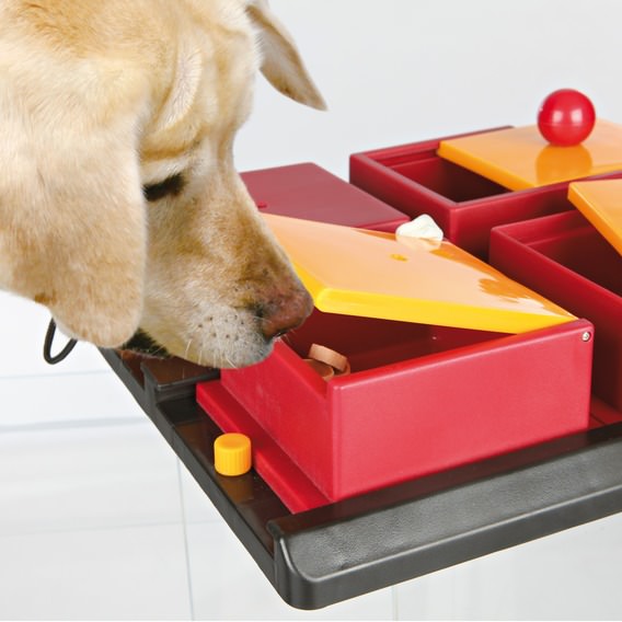 Dog Activity Poker Box, 31x10x31 cm