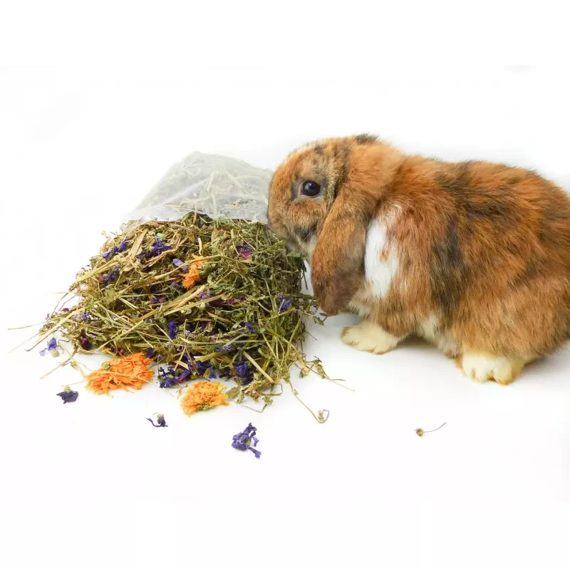Grünhopper Viola 100g