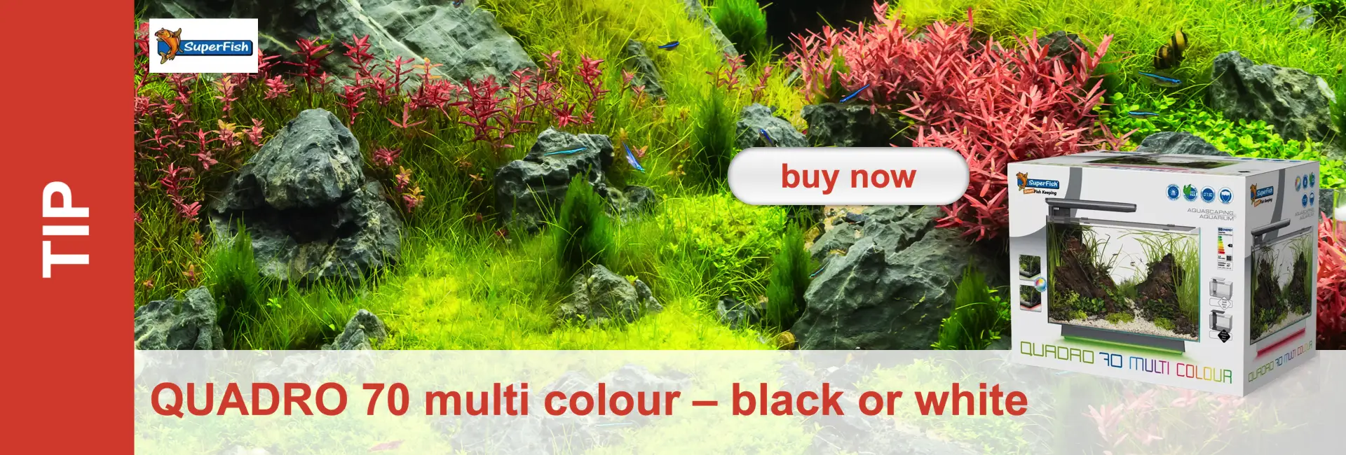 Aquarium with plants, stones and small fish. Product packaging of an aquarium in the foreground. "Buy now" button.
