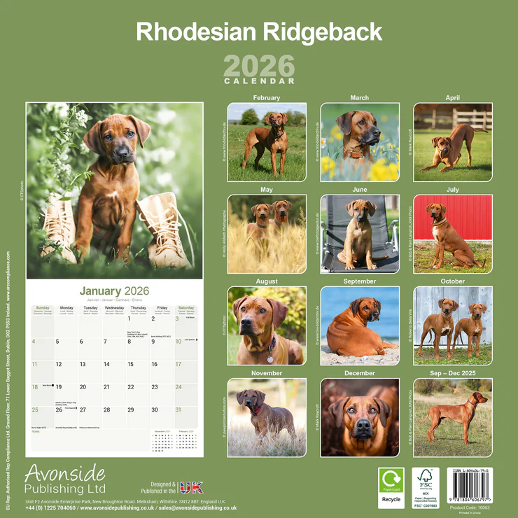 Calendar 2026 Rhodesian Ridgeback