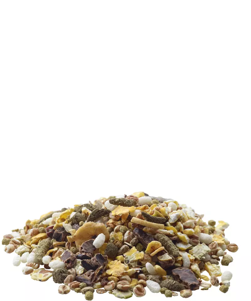 nature-snack-getreide-futtermischung Getreide Leckerbissen von Versele-Laga 500g