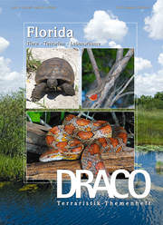 Draco 37 - Florida