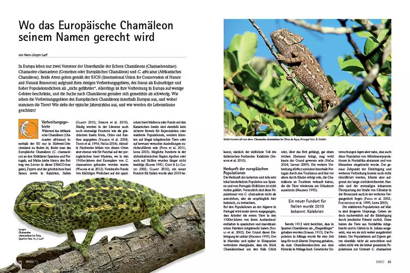 draco-58-chamaeleons-3 Draco 58 - Chamäleons
