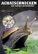 Die Achatschnecke