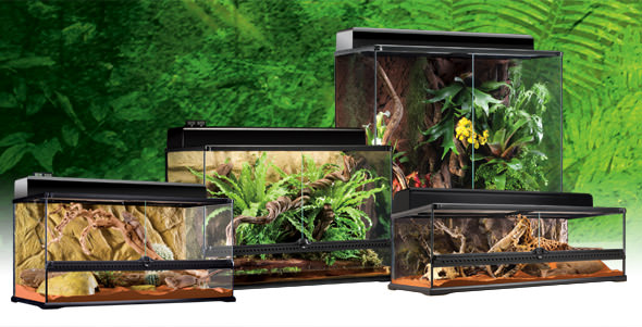 Natural Terrarium Large / Habitat d’avant-garde pour reptiles