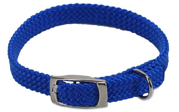 Arquivet Hundehalsband – Nylon Glatt Rot, 2,5 X 53 Cm, Verstellbar & Langlebig