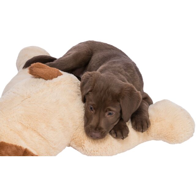 Cuddle dog Benny, plush, 75 cm