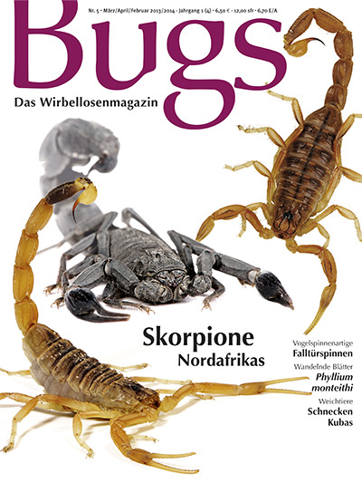 Bugs Nr. 05 - Skorpione Nordafrikas