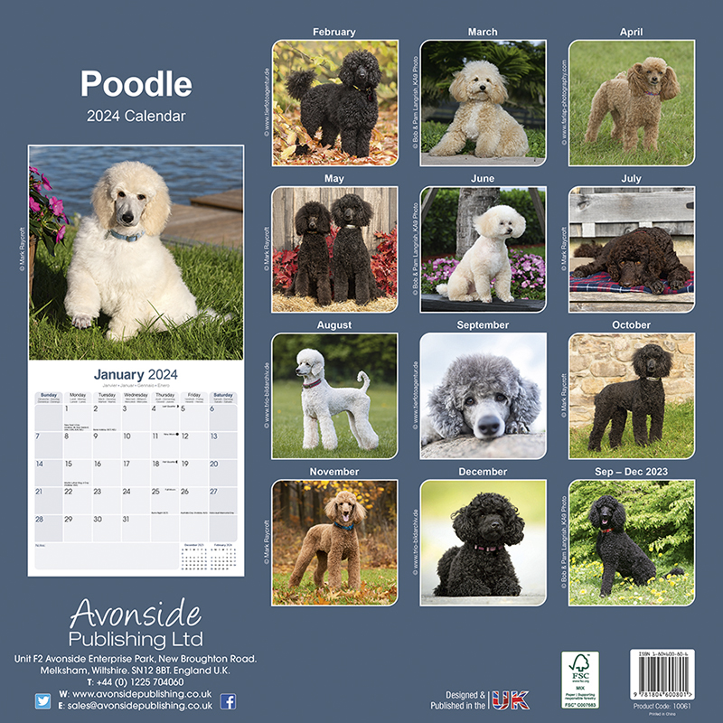 Kalender 2024 Pudel - Poodle - Caniche