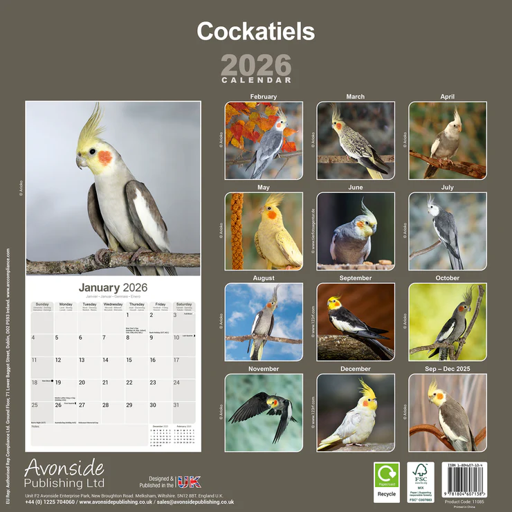 Calendar 2025 Cockatiels