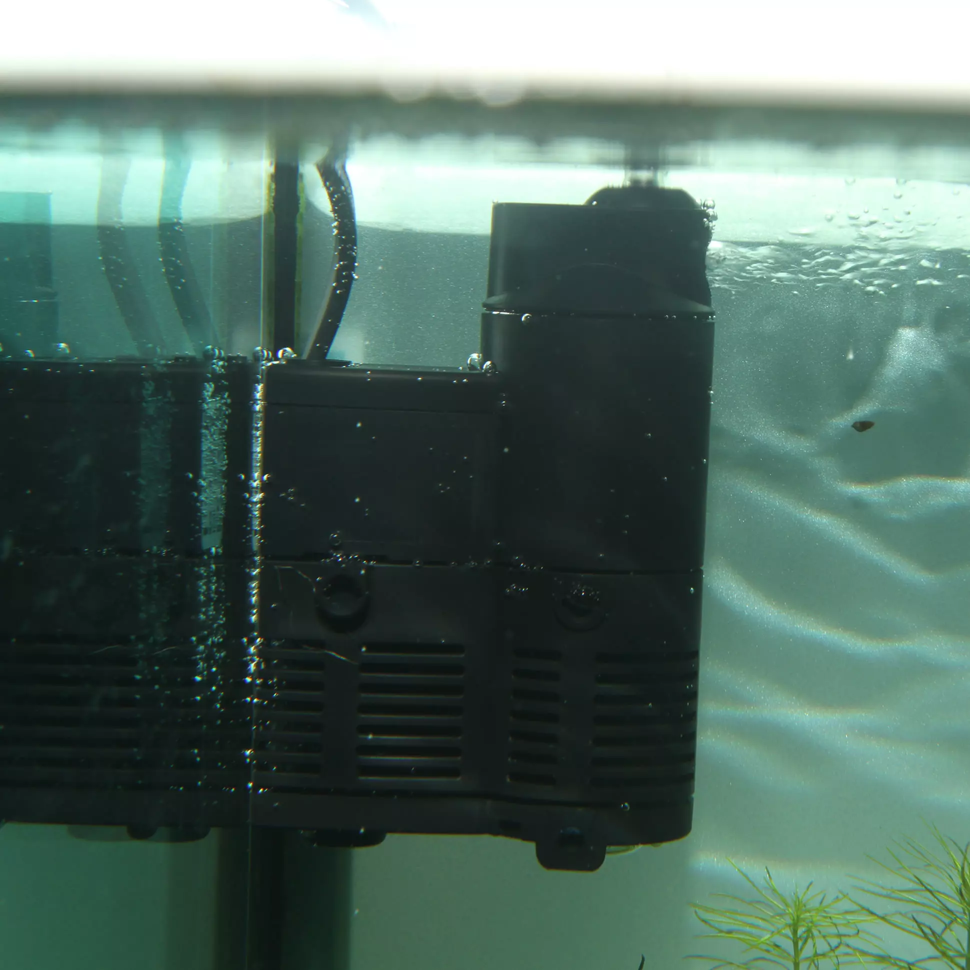 65288 JBL ProCristal i30 Filtre intérieur