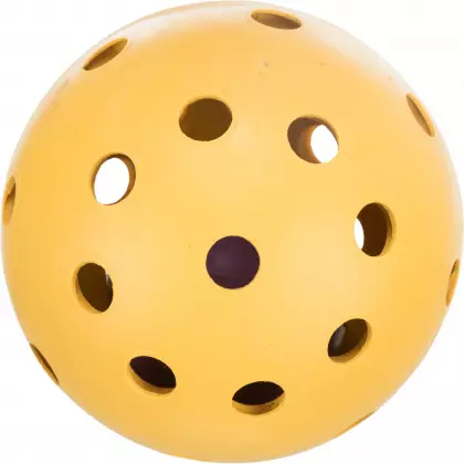 Lochball