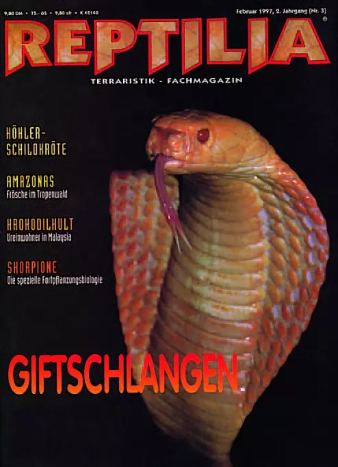 Reptilia 03 - Giftschlangen