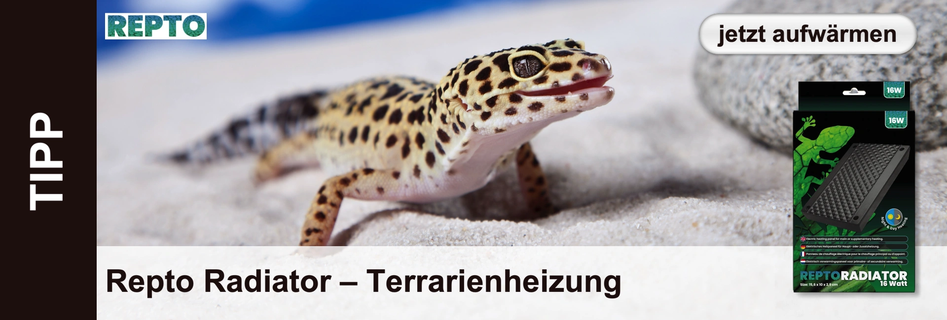 Un geco leopardo sulla sabbia, con un riscaldatore per terrari sullo sfondo e il testo "warm up now".