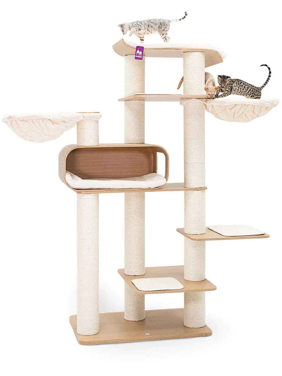 petrebels-virgo-200-rusty-oak petrebels-virgo-200-rusty-oak