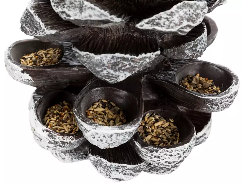 Distributeur de nourriture Pommes de pin