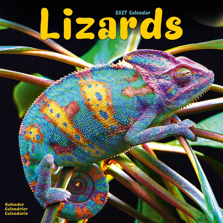 Kalender 2027 Echsen - Lizards