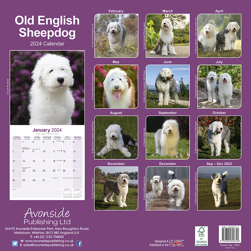 Calendar 2024 Bobtail - Old English