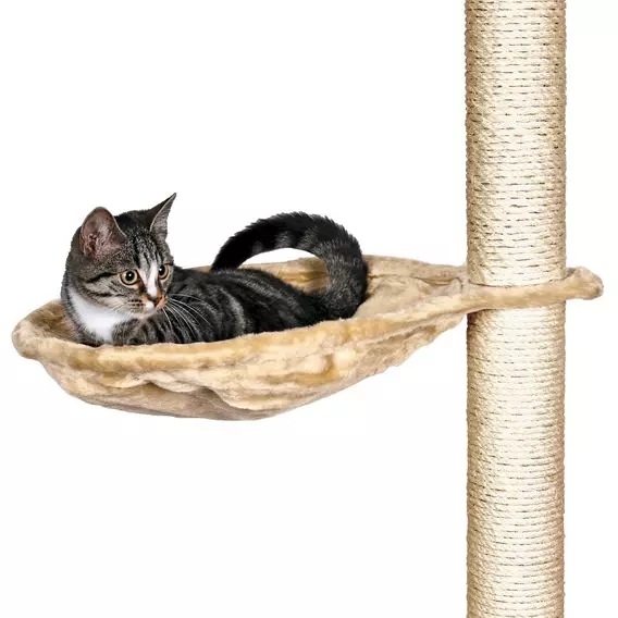 Gatto soriano sdraiato e rilassato in Trixie conca per sdraiarsi sul tiragraffi. L'abbeveratoio ha una struttura in metallo.