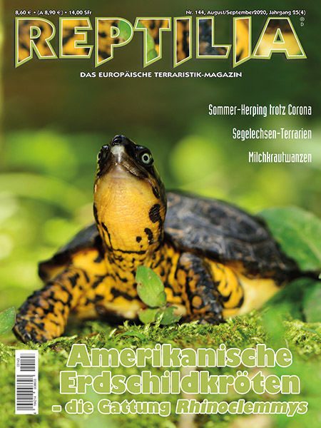 Reptilia - Amerikanische Erdschildkröten
