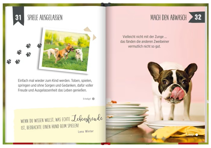 100 Dinge, die man von einem Hund lernen kann