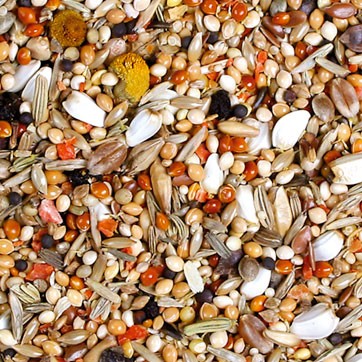 A varied mix of small, dry seeds and grains in various shapes and colours, suitable as bird feed. Visible ingredients include light-coloured millet, oat flakes, sunflower seeds, carrot pieces, berries and flower heads.