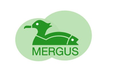 Mergus