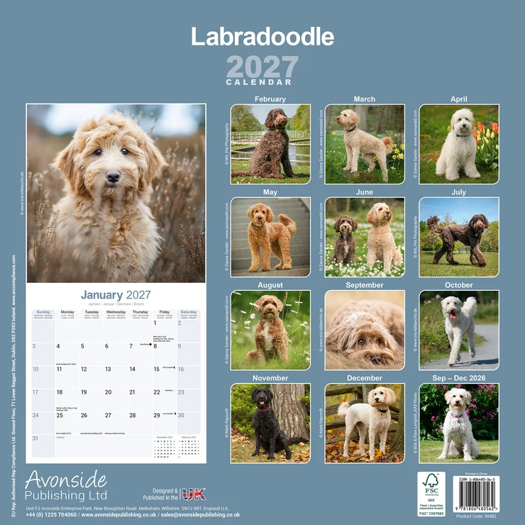Kalender 2027 Labradoodle