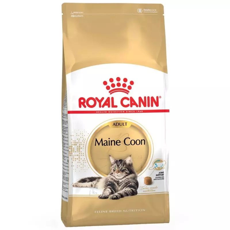 Royal Canin Katzenfutter - Maine Coon