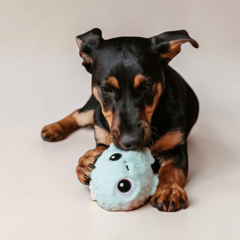 Mystery Dog Toy 8cm