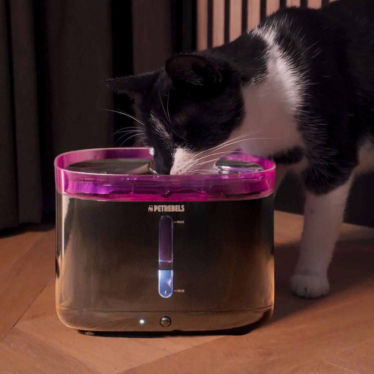 Eine schwarz-weiße Katze trinkt aus einem pinkfarbenen Trinkbrunnen mit der Aufschrift "Petrebels" auf einem Holzboden.