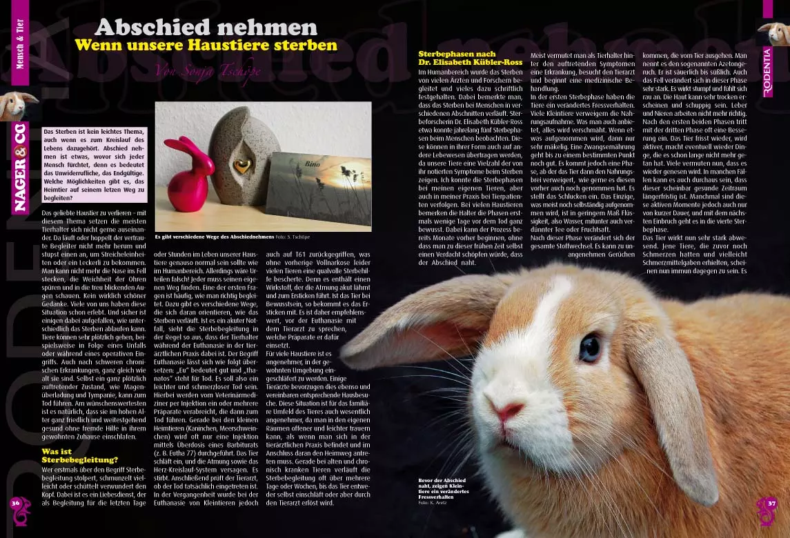 rodentia-82-tiere-sinnvoll-beschaeftigen-4 Rodentia 82 - Tiere sinnvoll beschäftigen