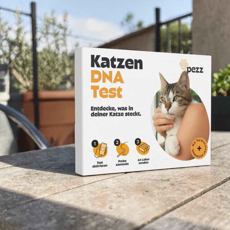 DNA-Test Rassenbestimmung für Katzen