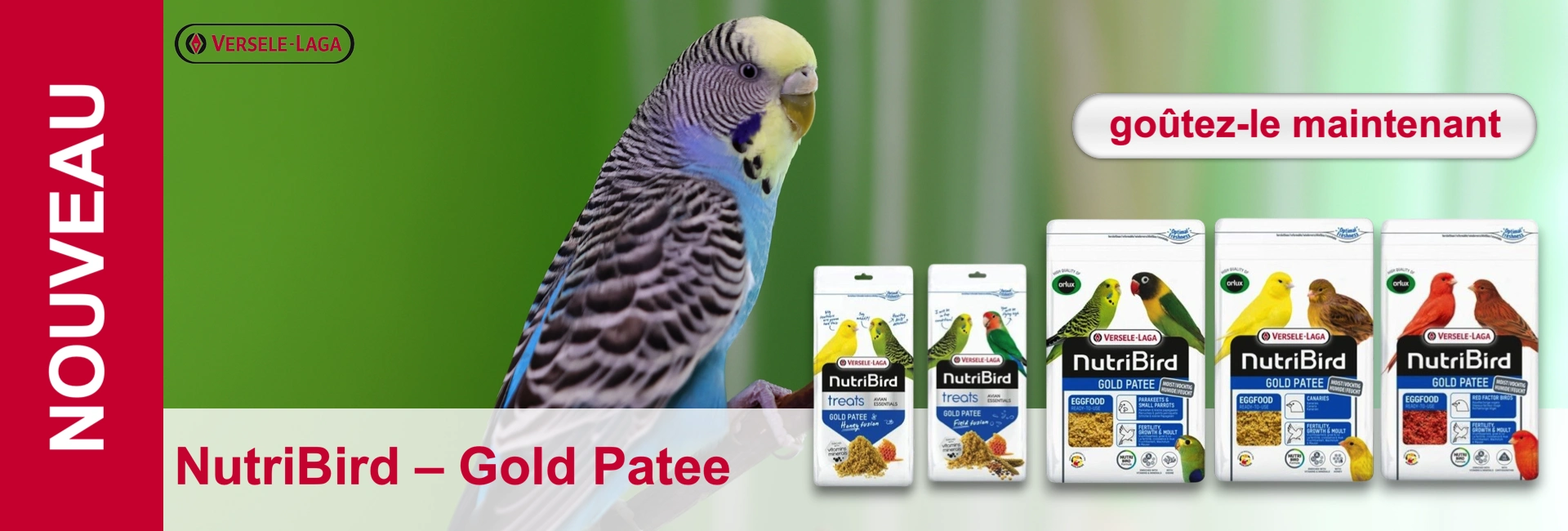 Perruche à côté d'emballages de produits de nourriture pour oiseaux. Vert en arrière-plan, texte "Nouveau" et "NutriBird Gold Patee" visibles.