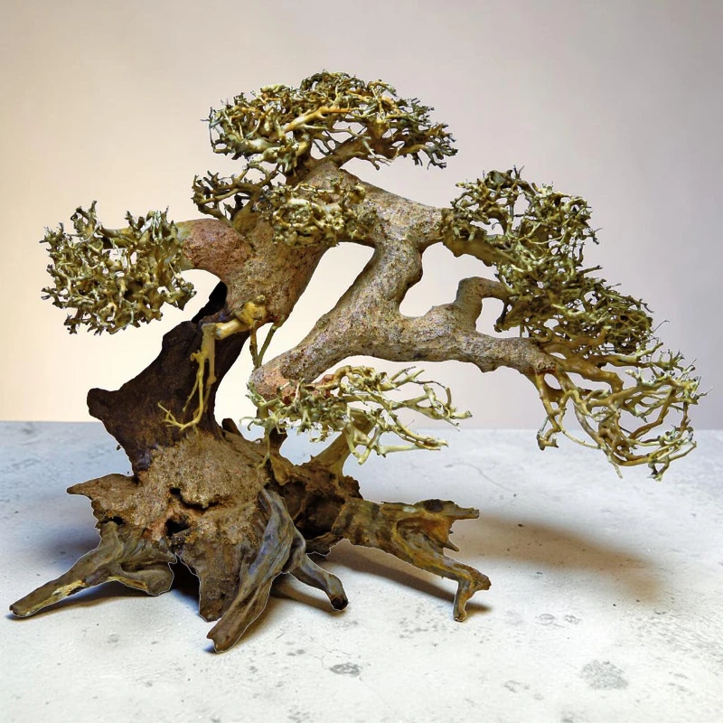 Kunstvoller Miniaturbaum wie alter Bonsai. Stamm und Äste aus gewundenem, dunklem Treibholz mit rauer Textur. Oben dichte Büschel hellgrünen, moosartigen Bewuchses als Blätter. Auf hellgrauer Fläche vor sanft beleuchtetem Hintergrund.