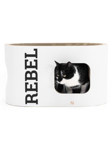 Un gatto bianco e nero sbircia incuriosito da un'apertura rettangolare di una cuccia bianca e ricurva in cartone. A sinistra è scritto in verticale "REBEL" a grandi lettere nere. Occhio chiaro e attento.