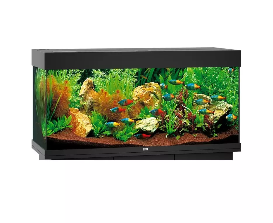 a-schwarz Juwel Aquarium Rio 180