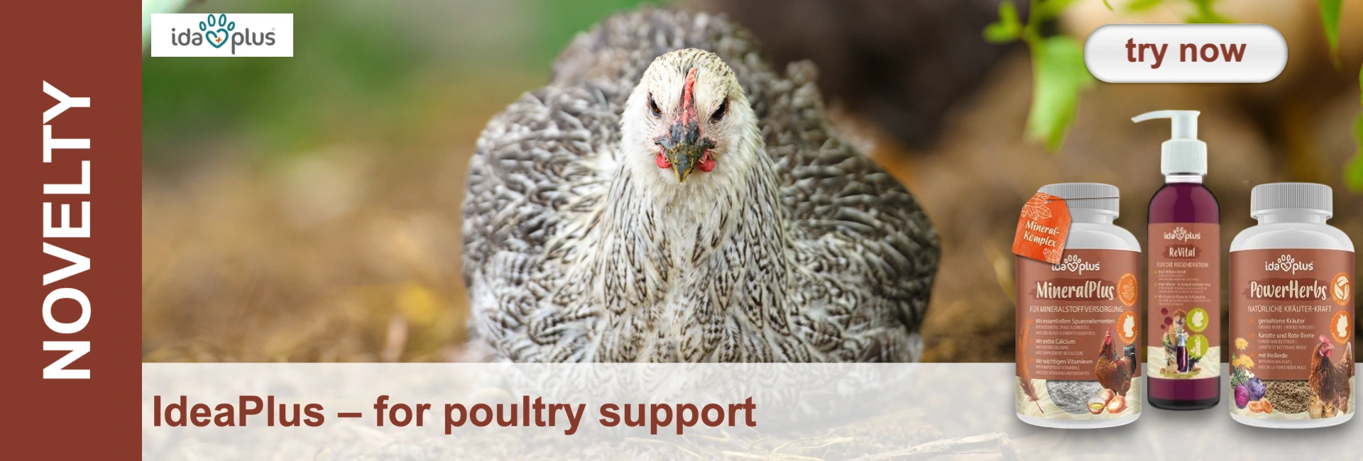 Hen in front of product bottles for poultry nutrition; "IdeaPlus - for poultry support". Hen with grey-brown plumage looks into the camera.