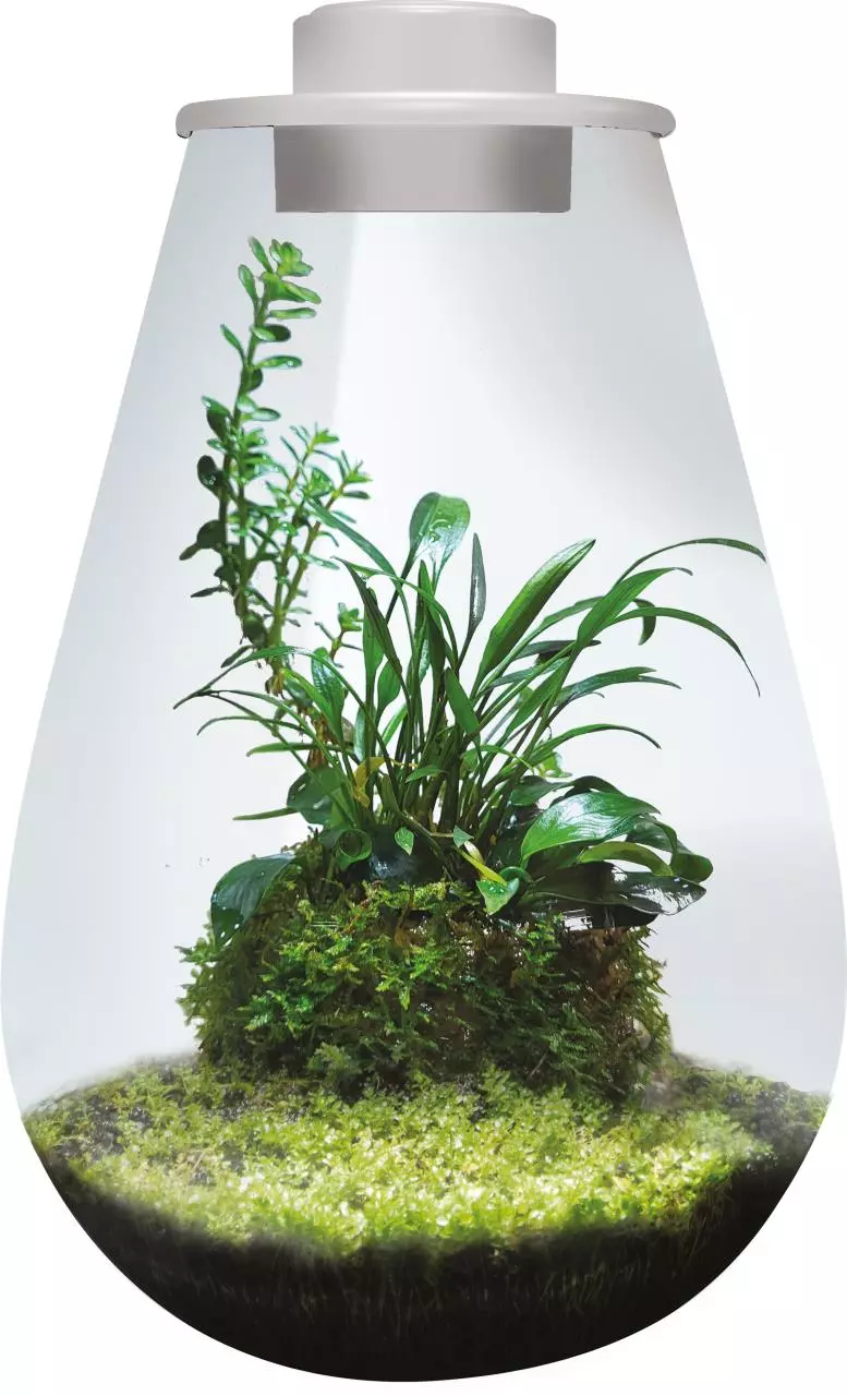 bioart-drop-weiss-glasgarten bioart-drop-weiss-glasgarten