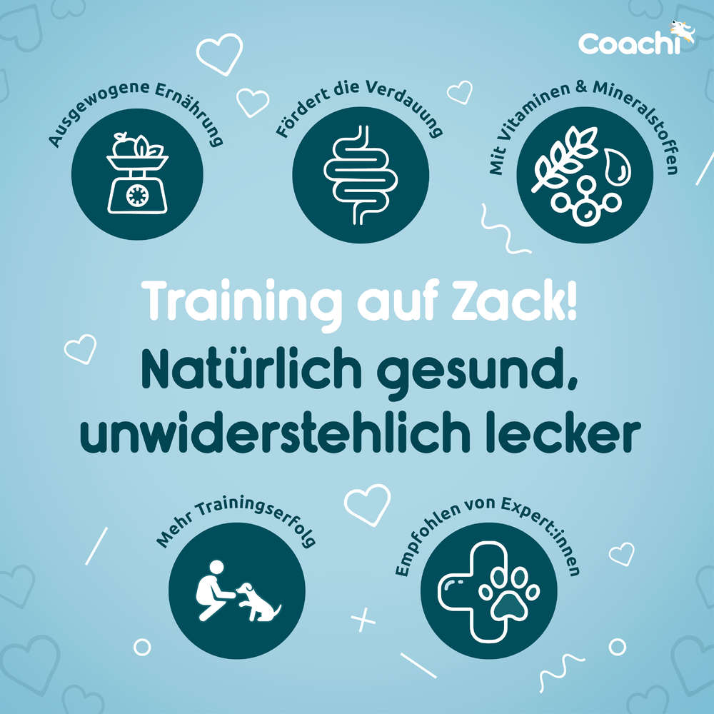 Coachi Natural - Puppy - Huhn