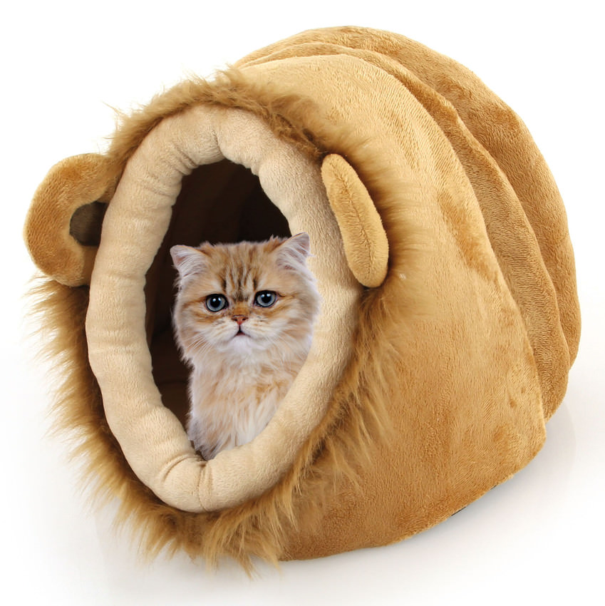 Löwenhöhle für Katzen 