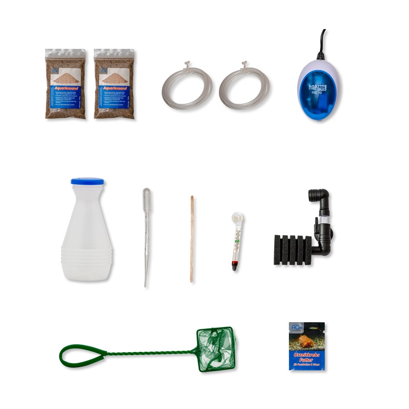 Large prehistoric crab complete set