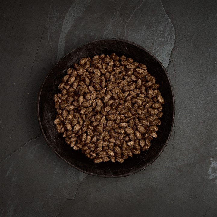 Croûte sombre et rustique recouvrant de petites croquettes allongées brun foncé. Croquettes pour chiens aux protéines d'insectes, texture légèrement rugueuse, surface gris foncé type pierre, sans céréales, faciles à digérer.
