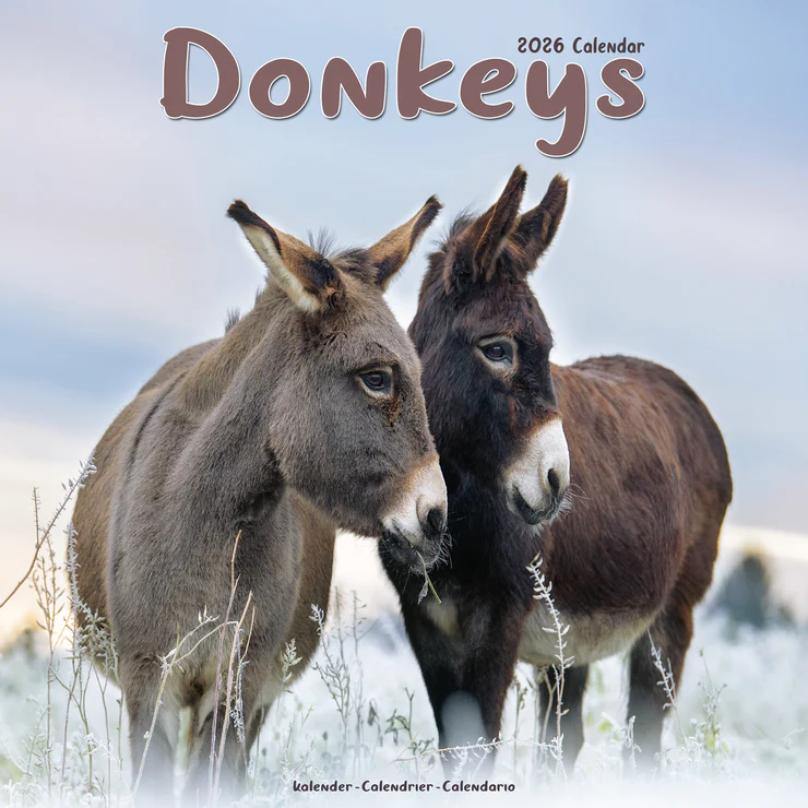 Calendar 2025 Donkeys - Jackasses