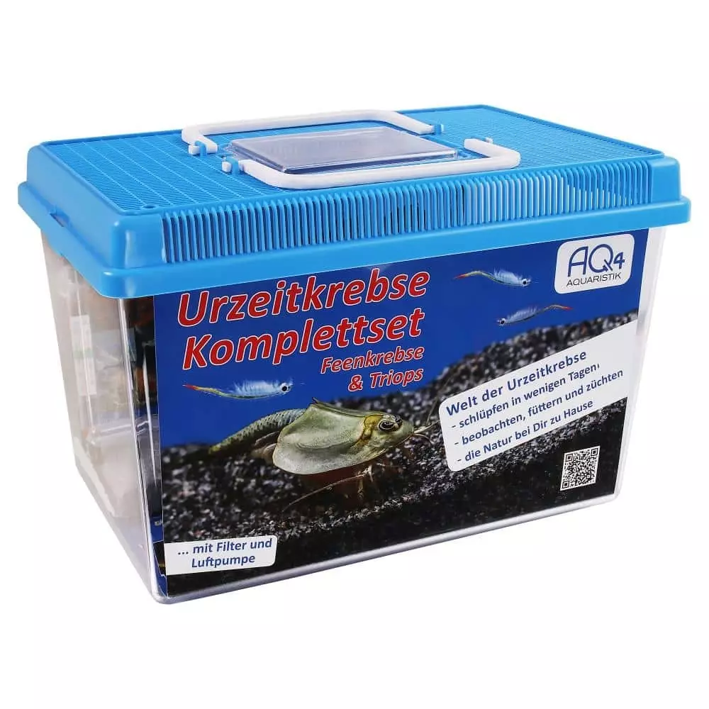 Grosses Urzeitkrebs Komplettset