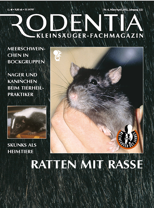Rodentia 06 - Ratten mit Rasse
