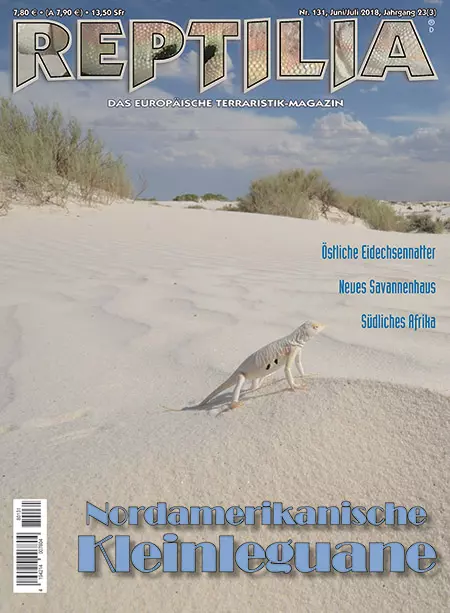 Reptilia 131- Nordamerikanische Kleinleguane