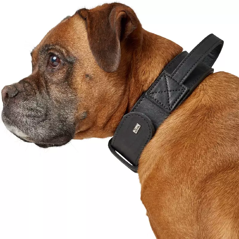 Training collar with handle - Lavik