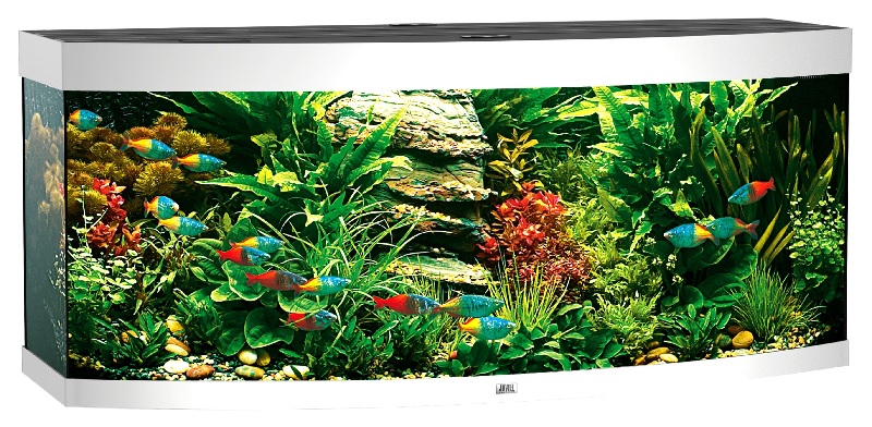 Juwel Aquarium Vision 450