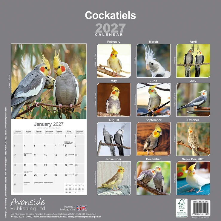 Kalender 2027 Nymphensittich - Cockatiels